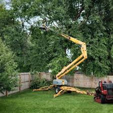 Best Tree Trimming and Pruning  in Indian River Estates, FL